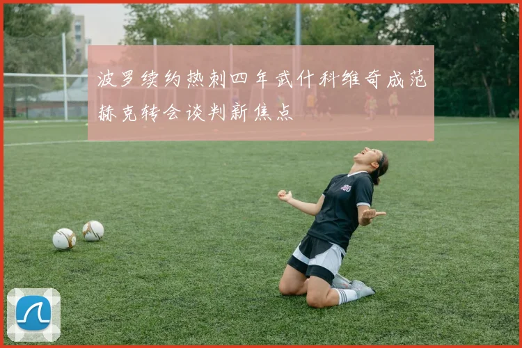 波罗续约热刺四年武什科维奇成范赫克转会谈判新焦点