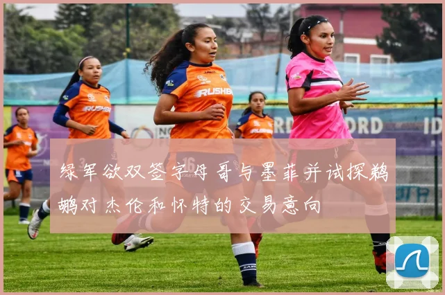 绿军欲双签字母哥与墨菲并试探鹈鹕对杰伦和怀特的交易意向